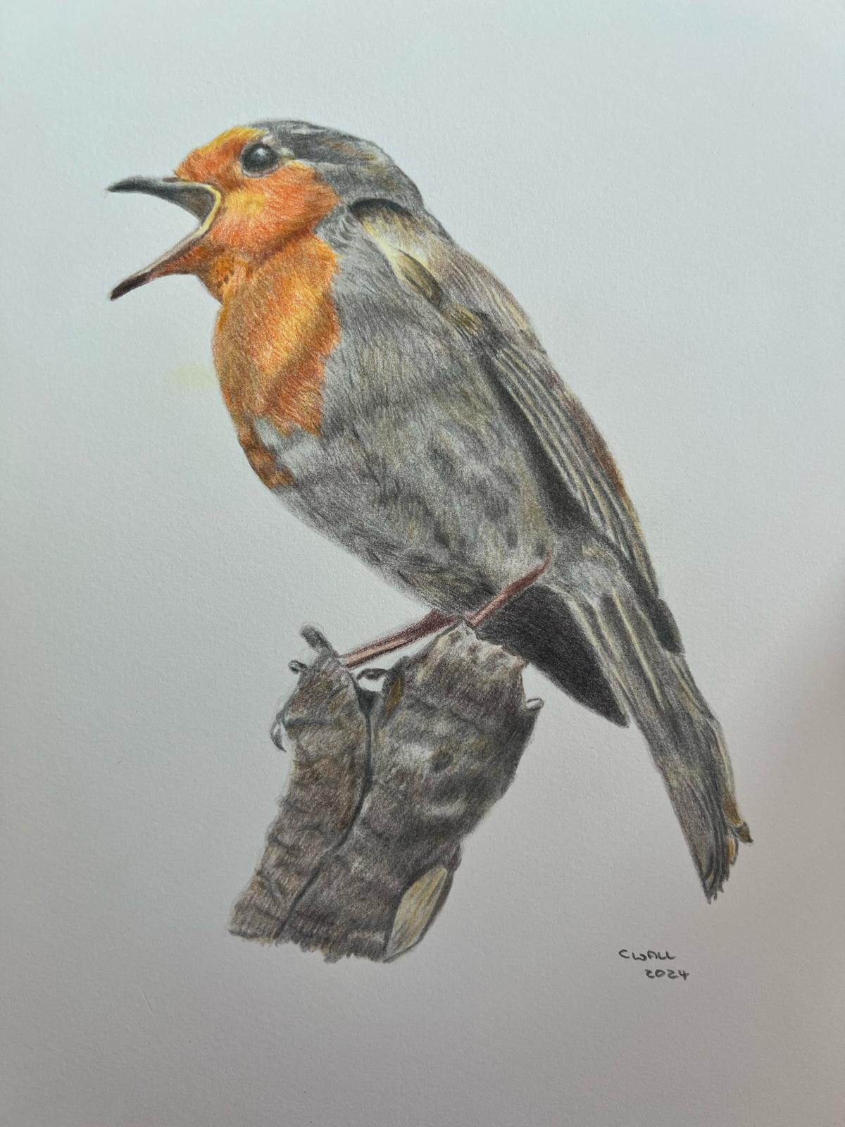 Robin